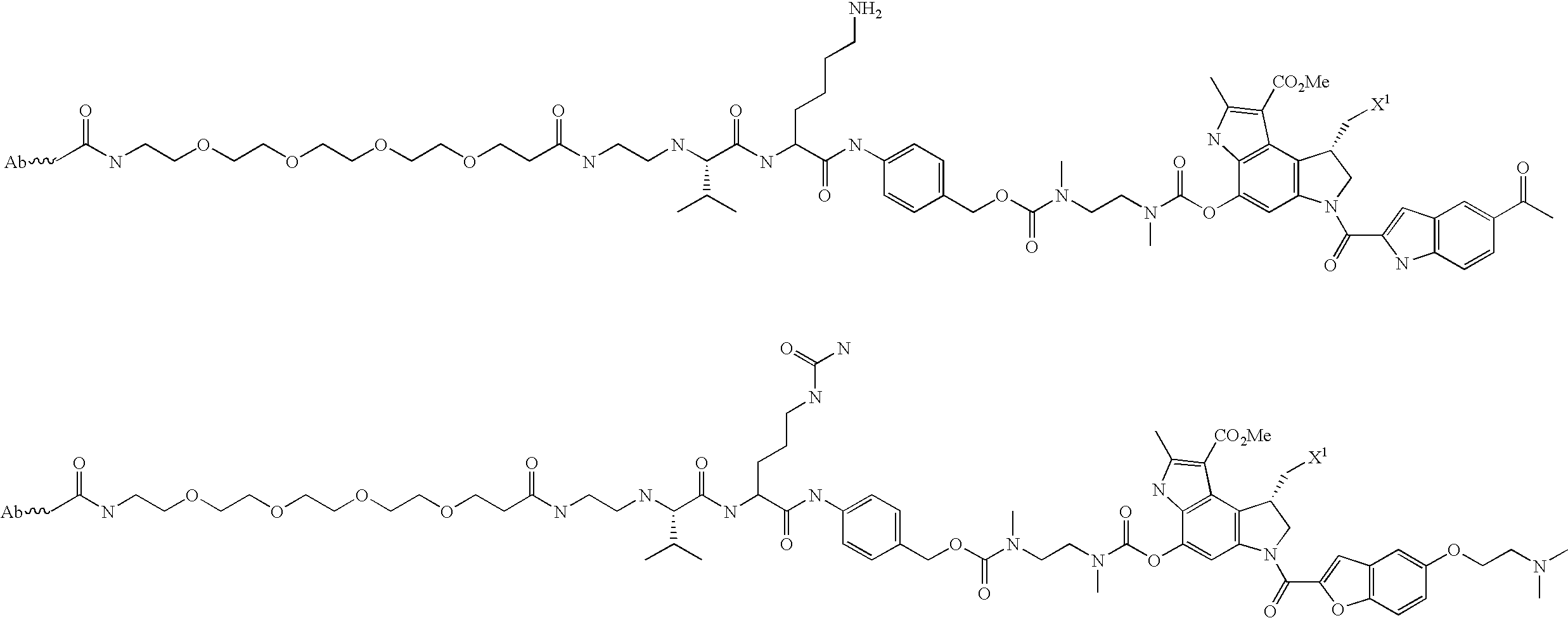 Figure US20080279868A1-20081113-C00074