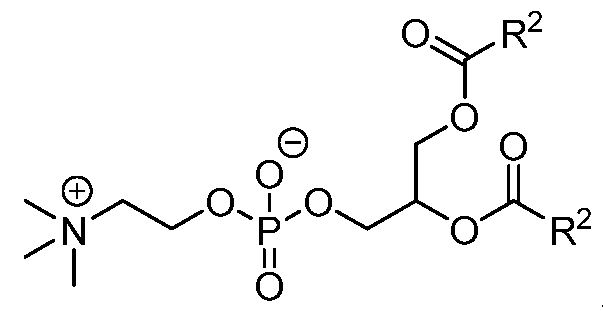 Figure imgf000148_0001