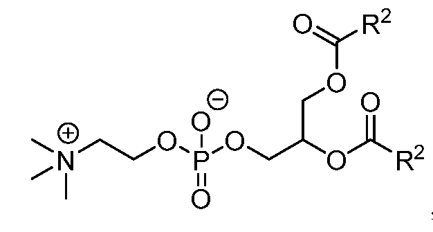 Figure imgf000101_0002