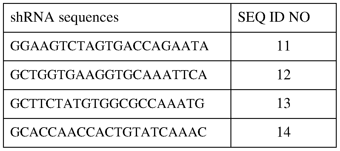 Figure imgf000050_0001