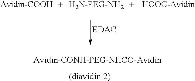 Figure US20090010839A1-20090108-C00002
