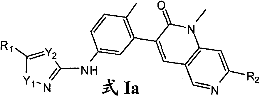 Figure FSB0000112779100000021
