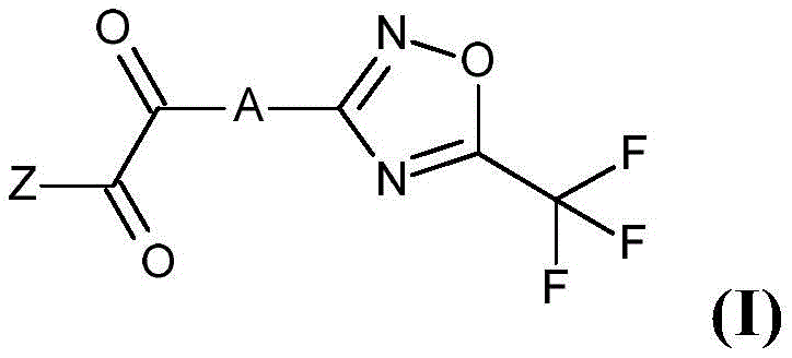 Figure FDA0002867242810000011