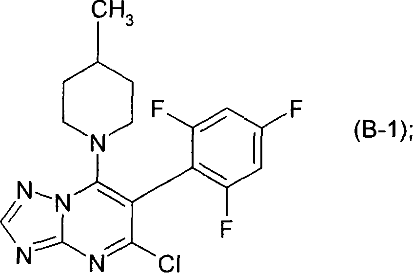 Figure A2005800342540025C1
