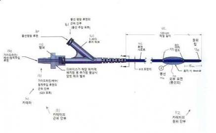 Figure P1020207035028