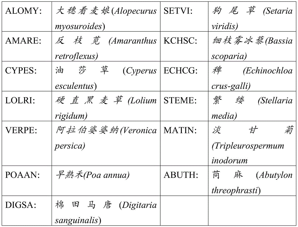 Figure BDA0003773017430000981