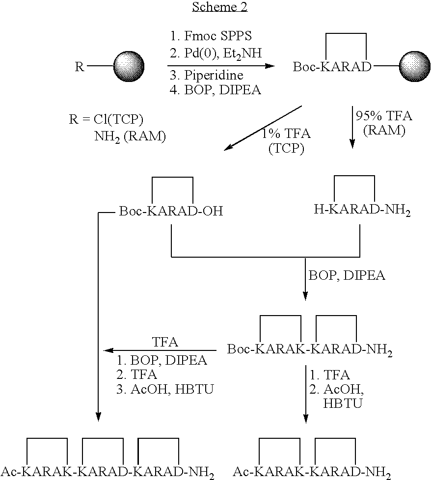 Figure US20080242598A1-20081002-C00010