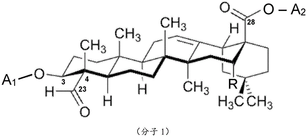 Figure FDA0004086040560000061