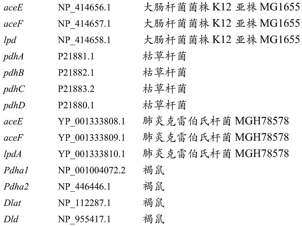 Figure BDA0003191798460001251