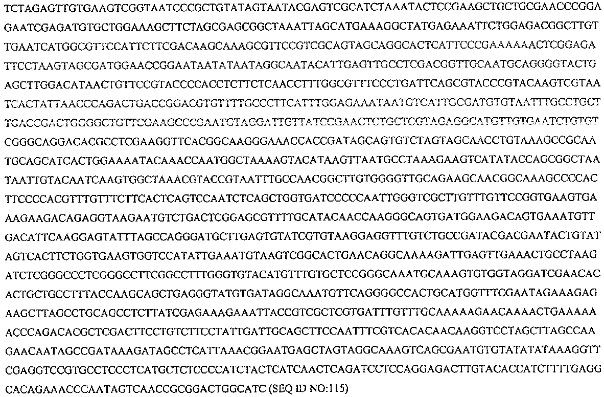 Figure 112006065182923-pct00026