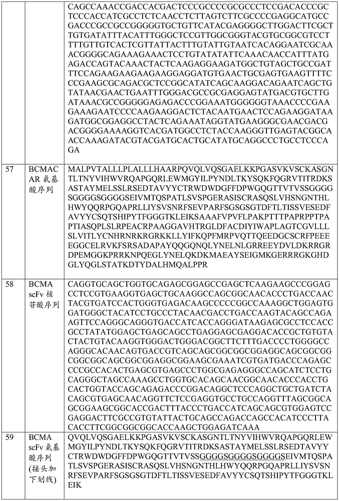 Figure BDA0002772276950001481