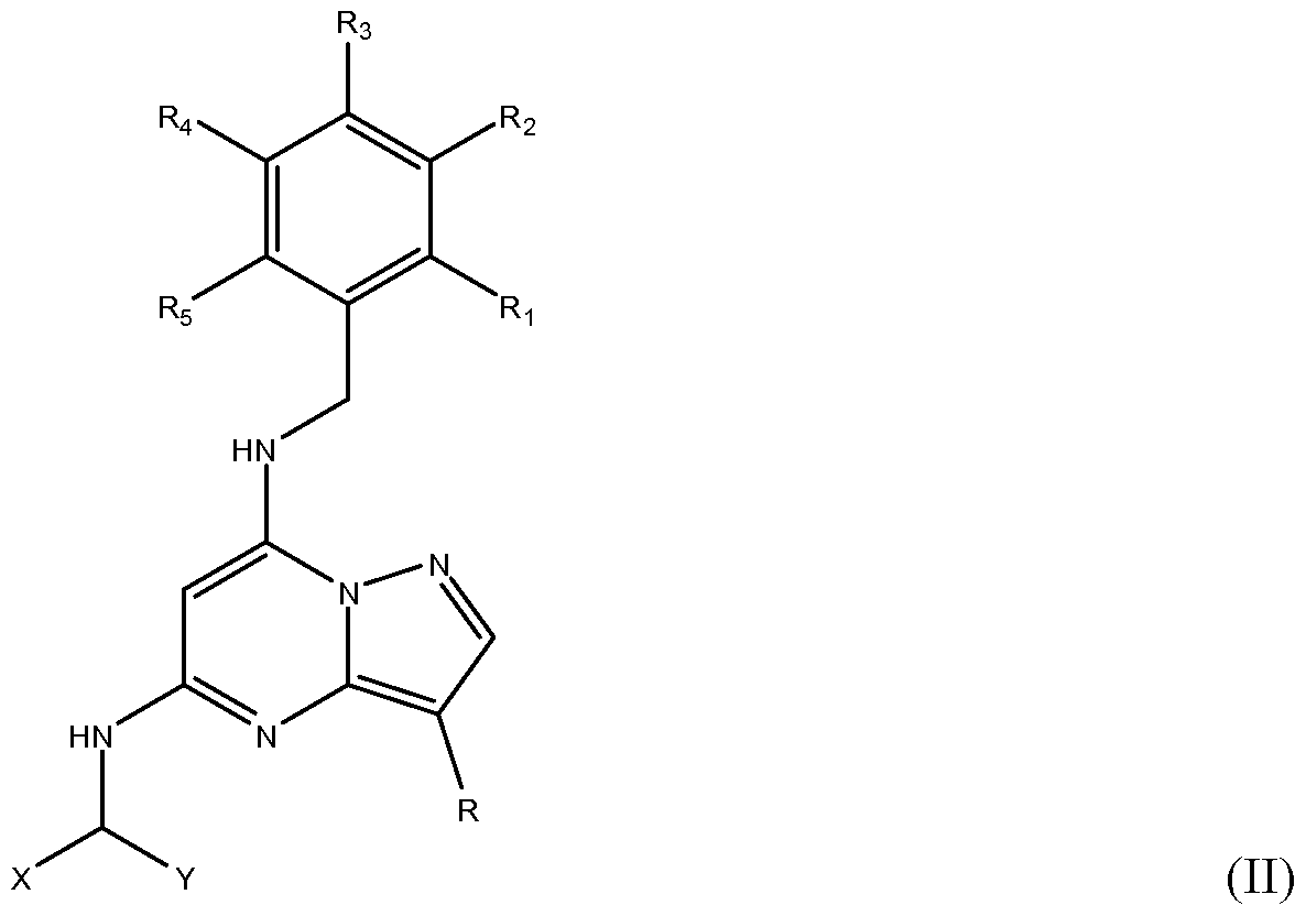 Figure imgf000007_0001