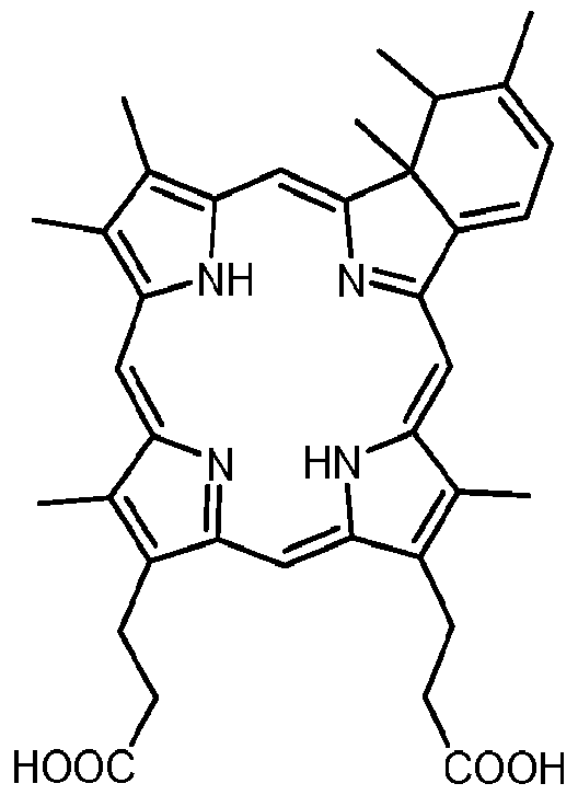 Figure imgf000021_0001