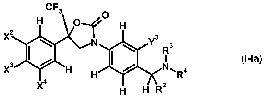 Figure imgf000010_0001