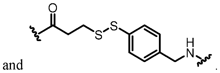Figure imgf000016_0002