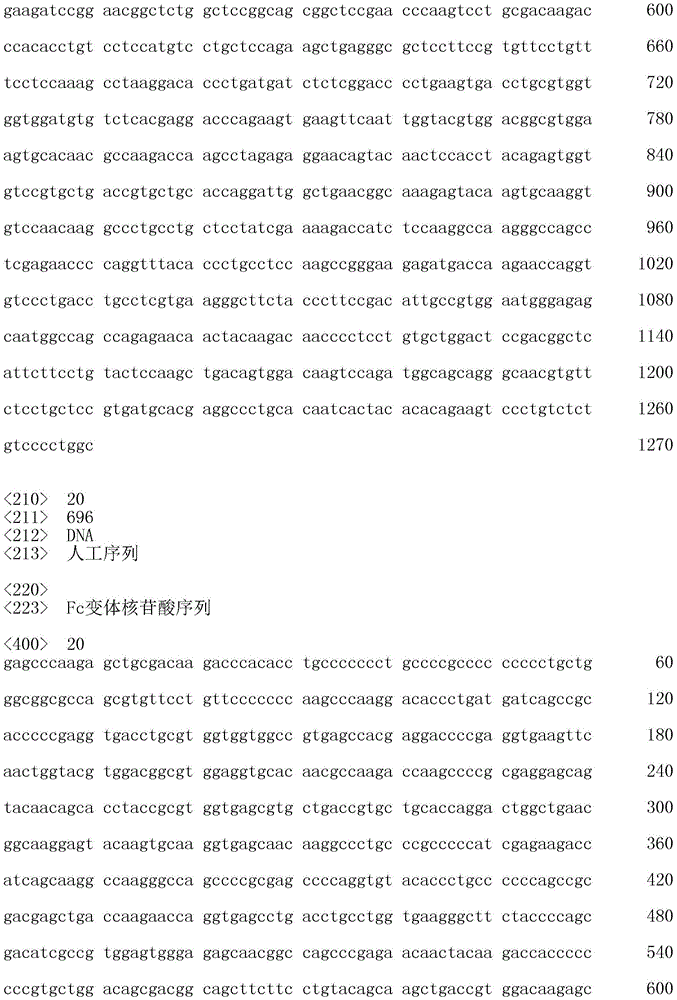 Figure IDA0002706336270000201