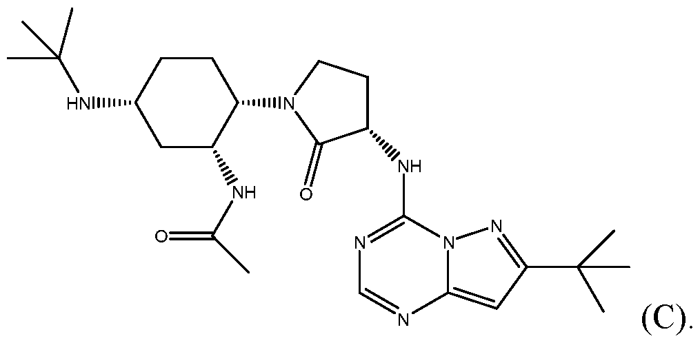 Figure imgf000006_0001