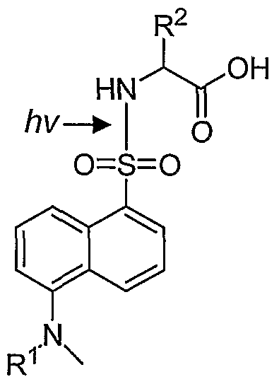 Figure imgf000075_0003