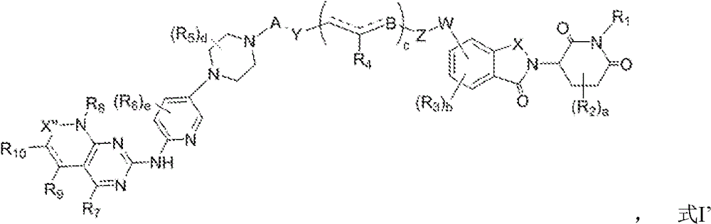 Figure GPA0000265661190000041