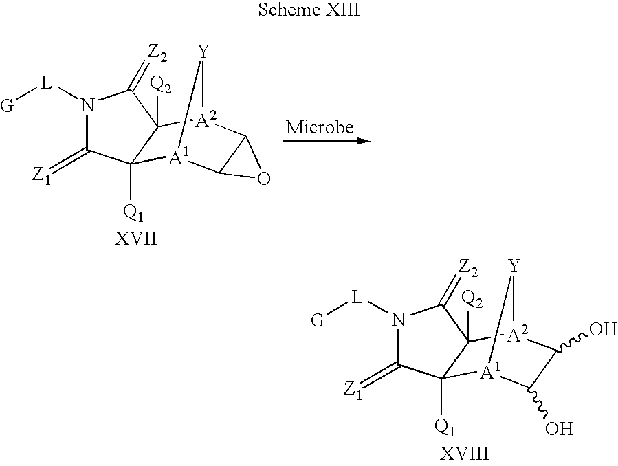 Figure US20040176324A1-20040909-C00017
