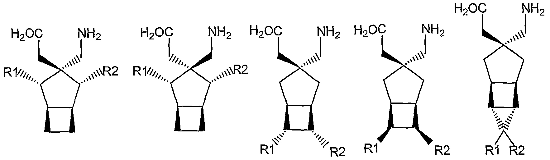 Figure imgf000031_0001