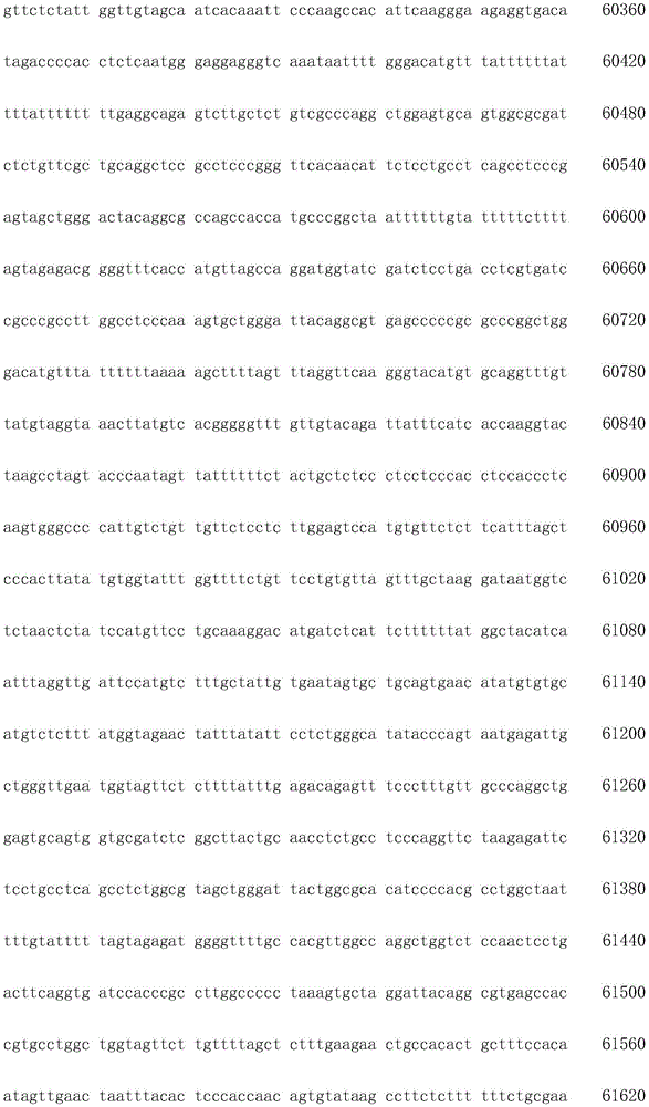 Figure IDA0003936212790001471