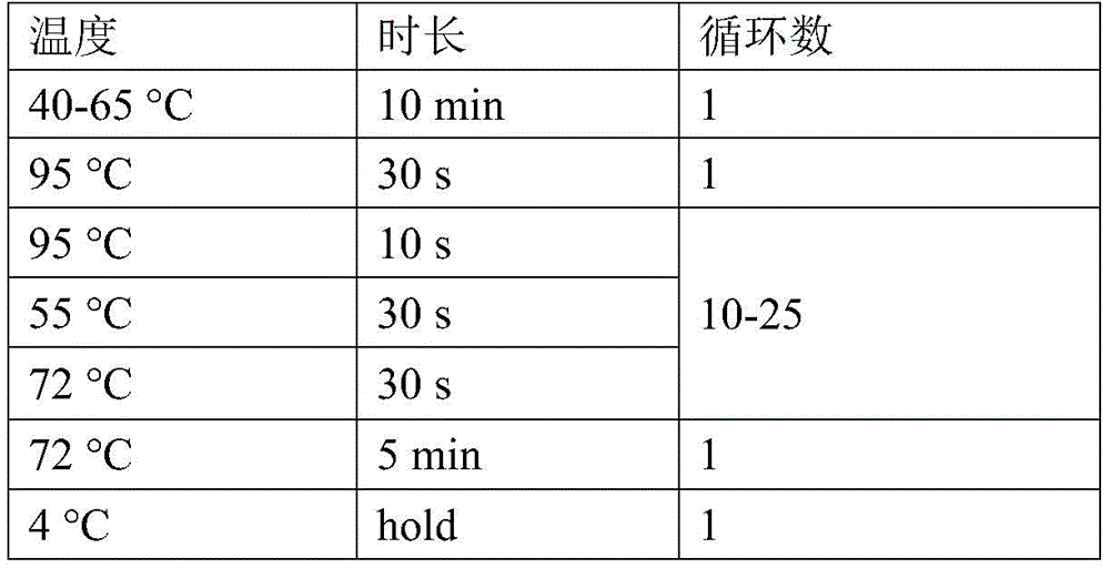 Figure BDA0003312796200000061