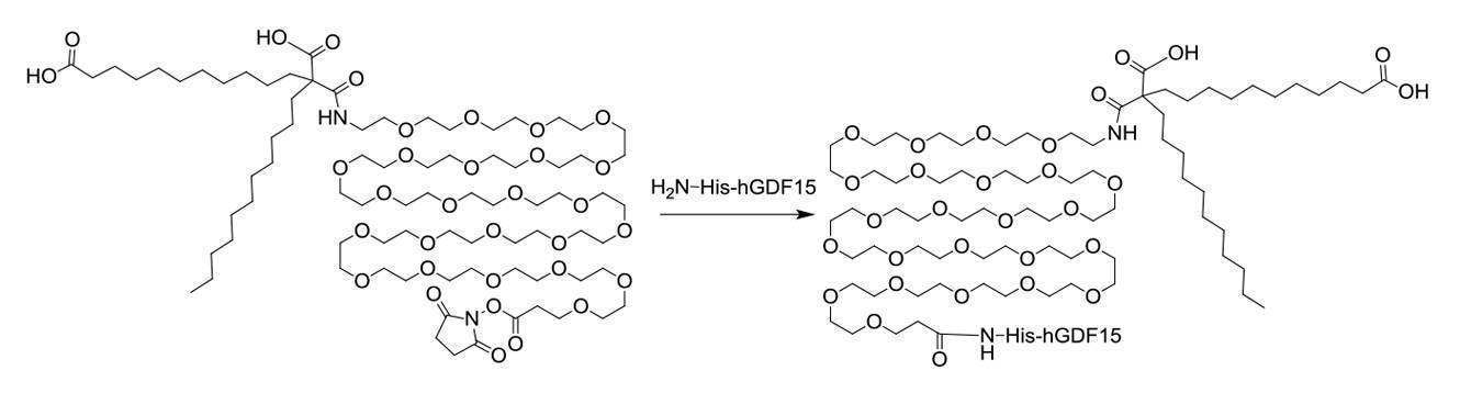 Figure 2022095757000146