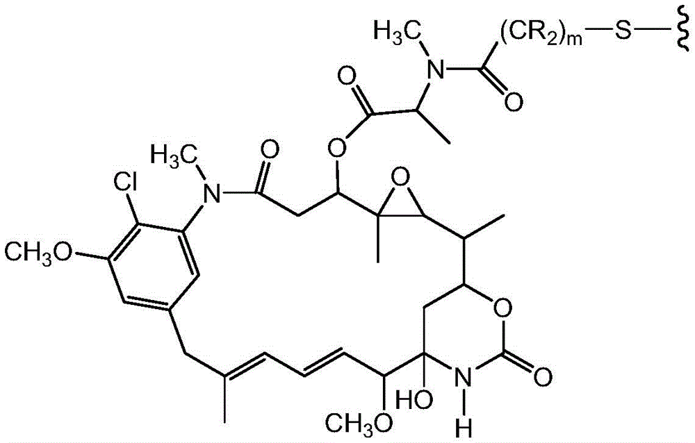 Figure BDA0001315385070000611