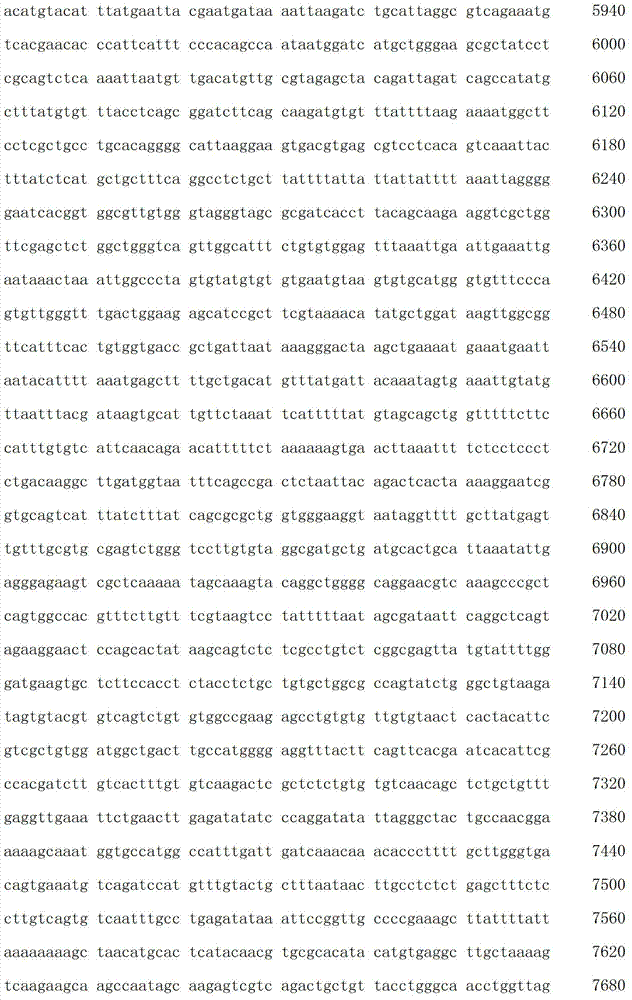 Figure IDA00003076741800201