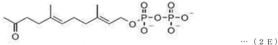 Figure 2022530482000037