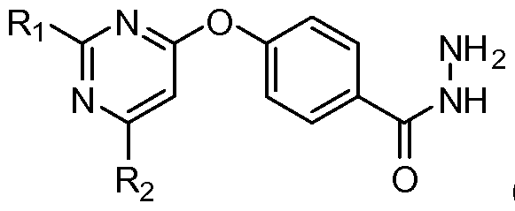 Figure imgf000022_0002