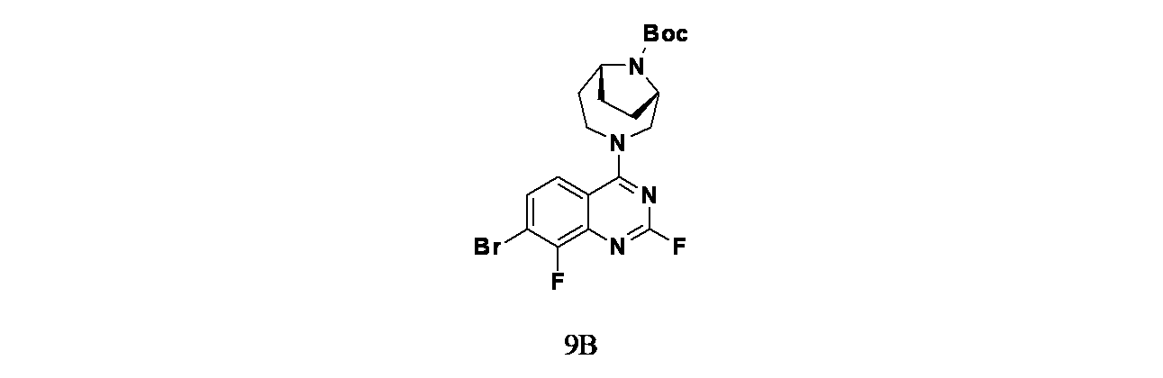 Figure 2024510207000156