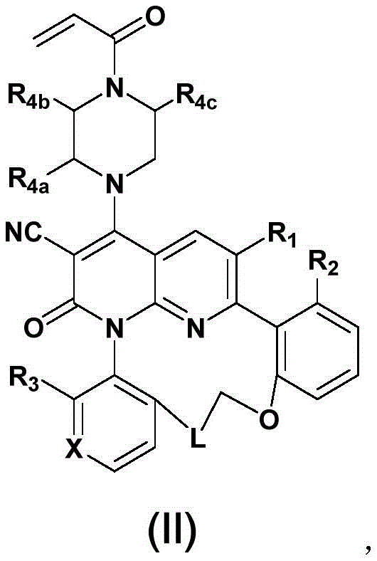 Figure FDA0003535562340000051