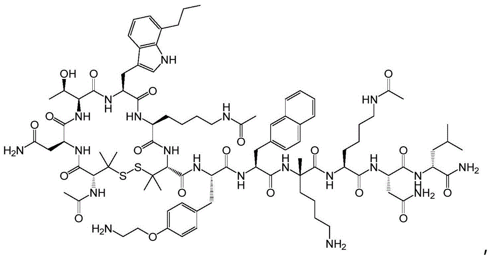 Figure BDA0003886965900002661