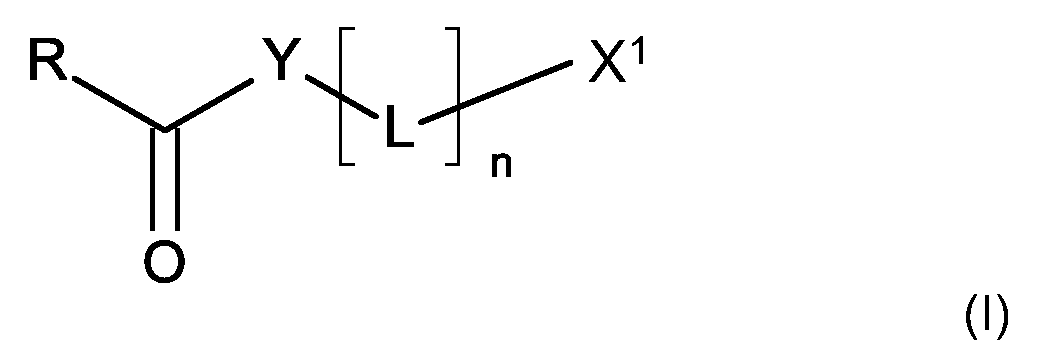 Figure 112024042665777-pct00065