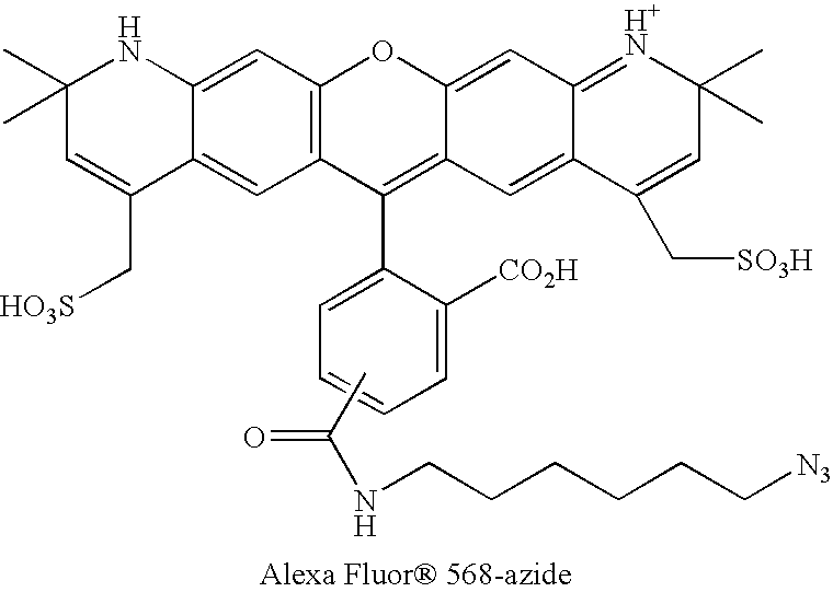 Figure US20070249014A1-20071025-C00049