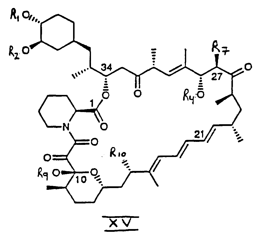 Figure imgf000007_0001