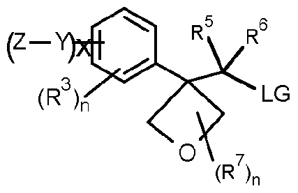Figure imgf000012_0005