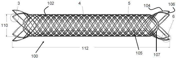 Figure R1020137015600