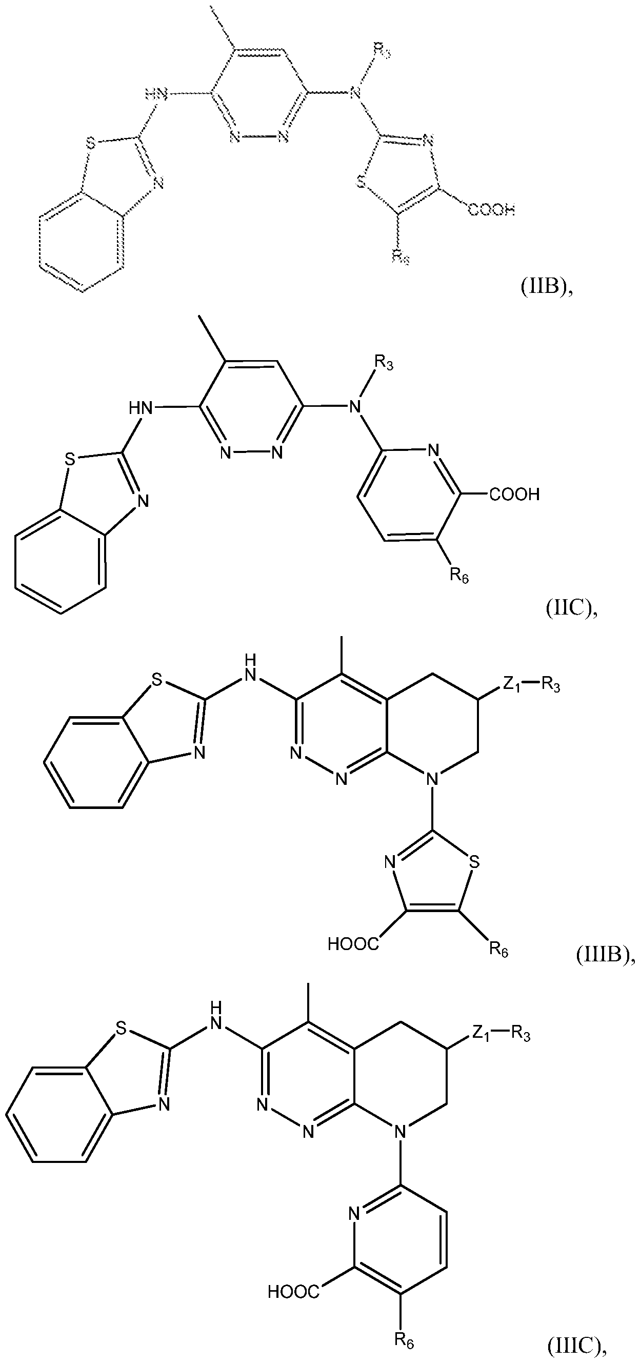 Figure imgf000079_0001