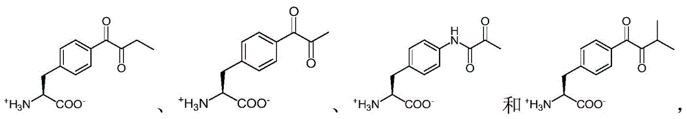 Figure BDA0000672139580001021