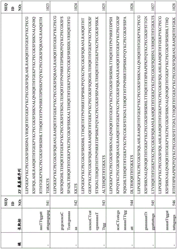 Figure BDA0003935065550001091