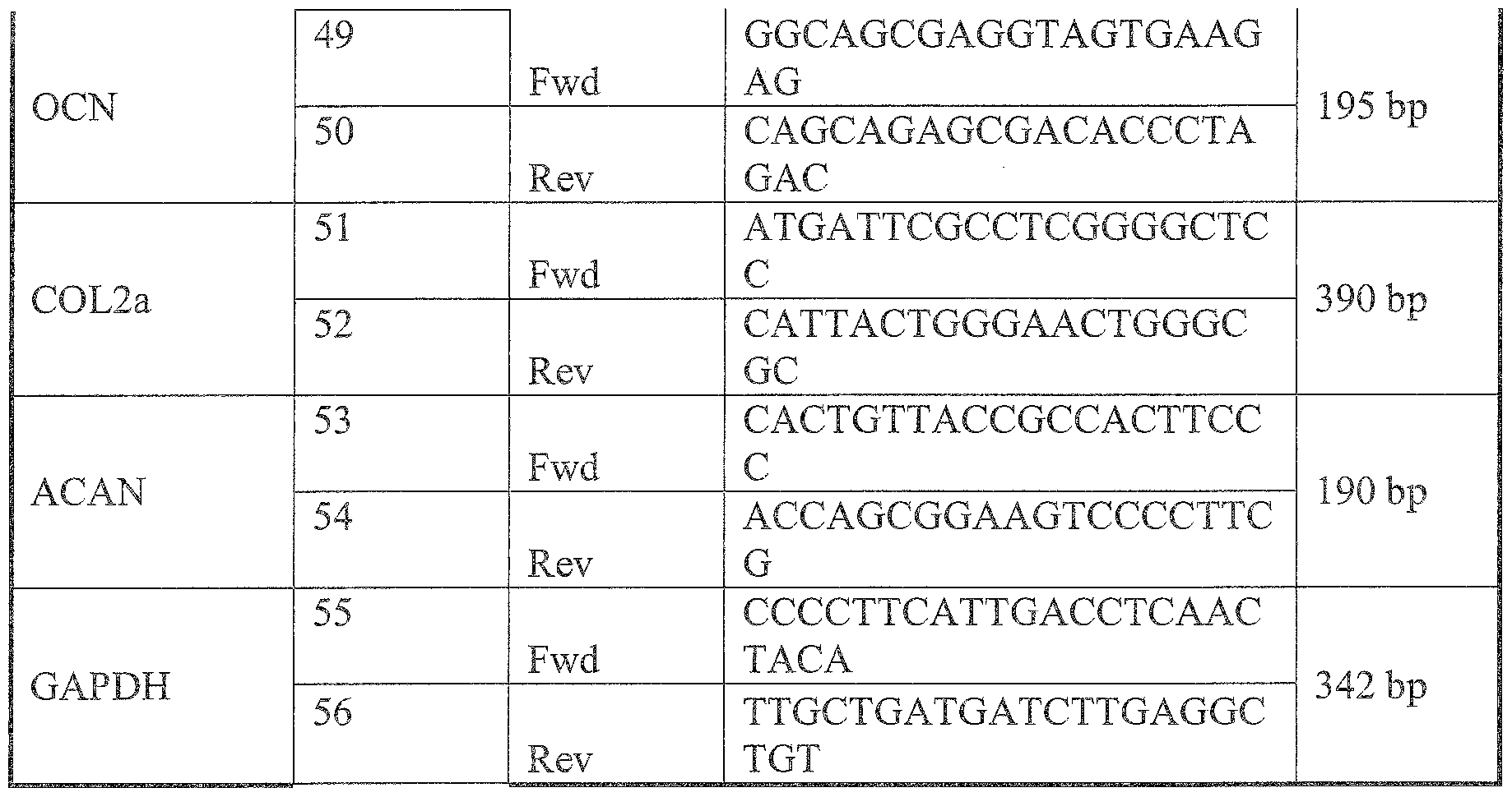 Figure imgf000024_0001