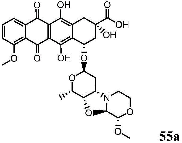 Figure BDA0003169464670001851