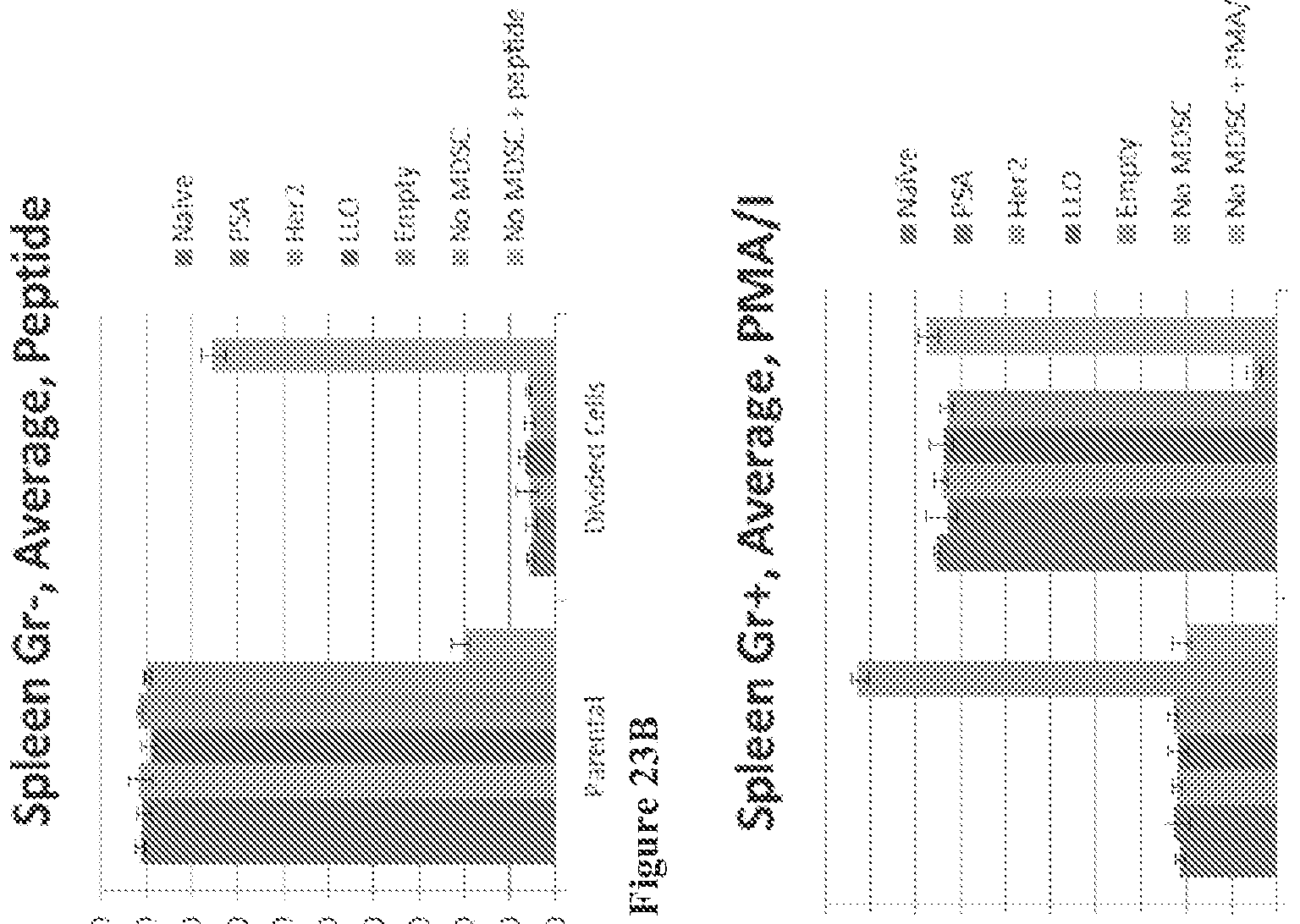 Figure imgf000116_0001