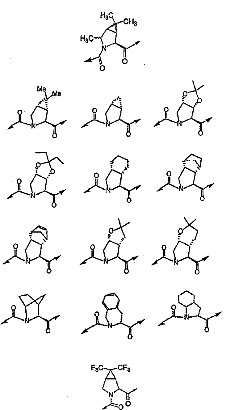 Figure BSA00000554725400351