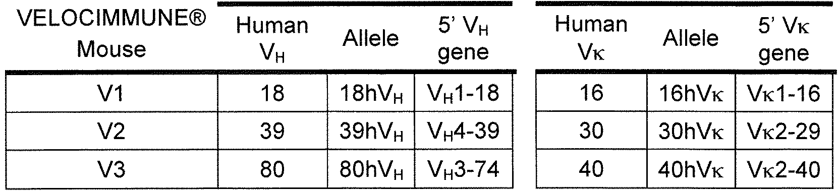 Figure imgf000078_0001