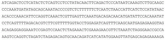 Figure 288327DEST_PATH_IMAGE008
