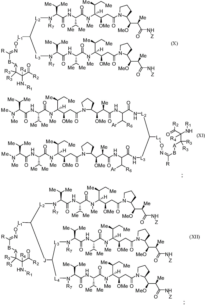 Figure FDA0001969588390000151